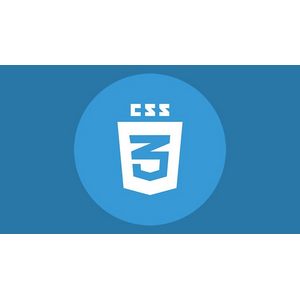 CSS Fundamentals: Comprehensive Training for Web Developers