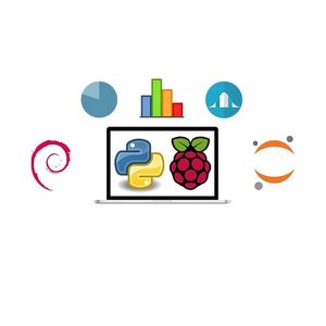 Python Raspberry Pi Electronics and IoT Bootcamp