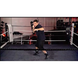 The Complete Boxing Fitness & Skills Certificate Course