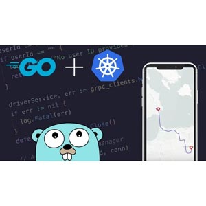 Complete Microservices with Go