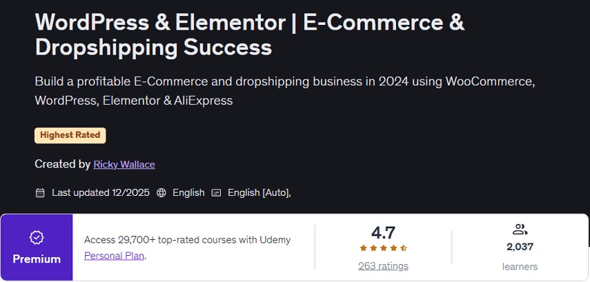 WordPress & Elementor | E-Commerce & Dropshipping Success