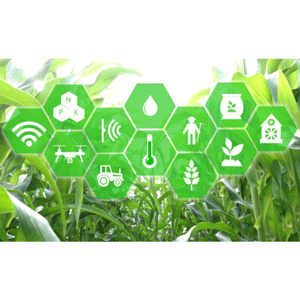 AI Farming Unleashing the Future of Agriculture!