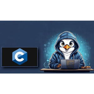Coding a C compiler in Javascript