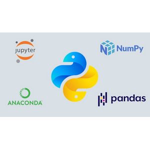 Python Programming Fundamentals with AI Insights