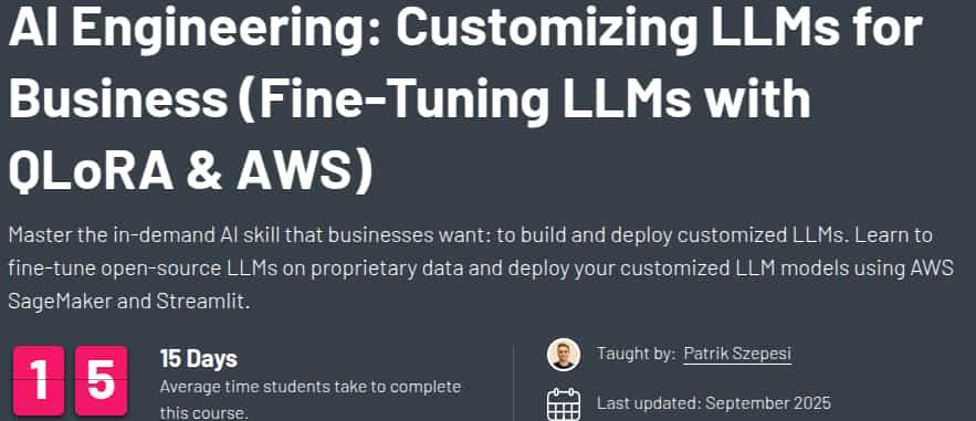 AI Engineering_ Customizing LLMs for Business (Fine-Tuning LLMs with QLoRA & AWS)