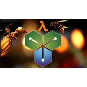 AWS Serverless Lambda Functions 2 hr. Hands On Crash Course