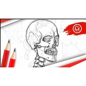 Anatomy Art School_ The Complete Skeletal Drawing Course