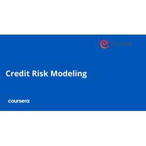 Credit Risk Modeling