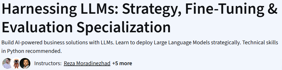 Harnessing LLMs: Strategy, Fine-Tuning & Evaluation Specialization