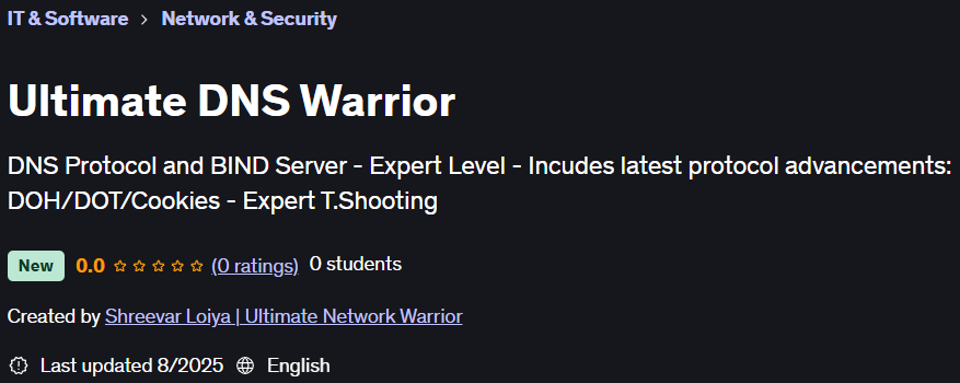 Ultimate DNS Warrior