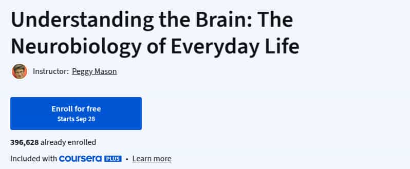 Understanding the Brain_ The Neurobiology of Everyday Life