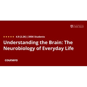 Understanding the Brain_ The Neurobiology of Everyday Life