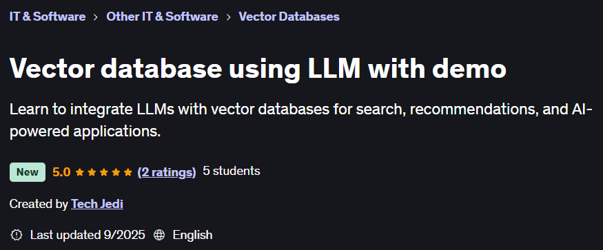 Vector database using LLM with demo