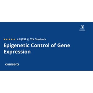 Epigenetic Control of Gene Expression