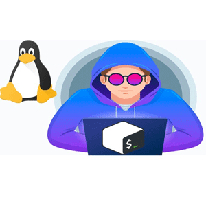 Linux & Bash Scripting For Non Programmers With 5 Projects