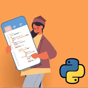Master Python by Coding 100 Practical Problems
