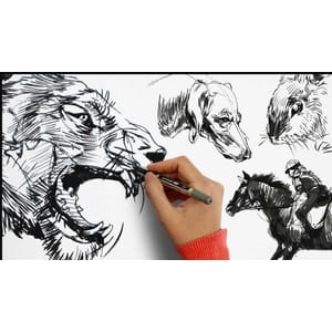 Masterclass of Animal Drawing_ Beginner to Advanced