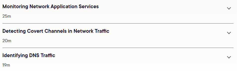 Security Analysis: Monitoring Network Applications