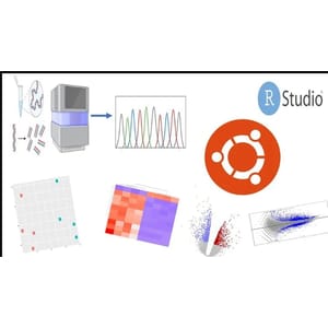 Bioinformatic_ Learn Bulk RNA-Seq Data Analysis From Scratch