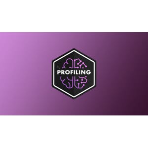 Machine Learning 1_ Data Profiling