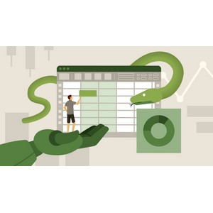 Utilizing Excel, Python, and Copilot as a Citizen Data Scientist