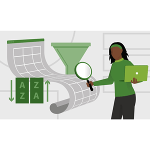 Excel Managing and Analyzing Data