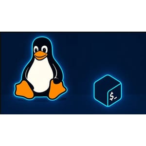 Linux & Bash Scripting For Sysadmins & Cybersecurity From 0
