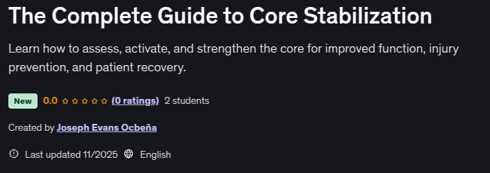 The Complete Guide to Core Stabilization