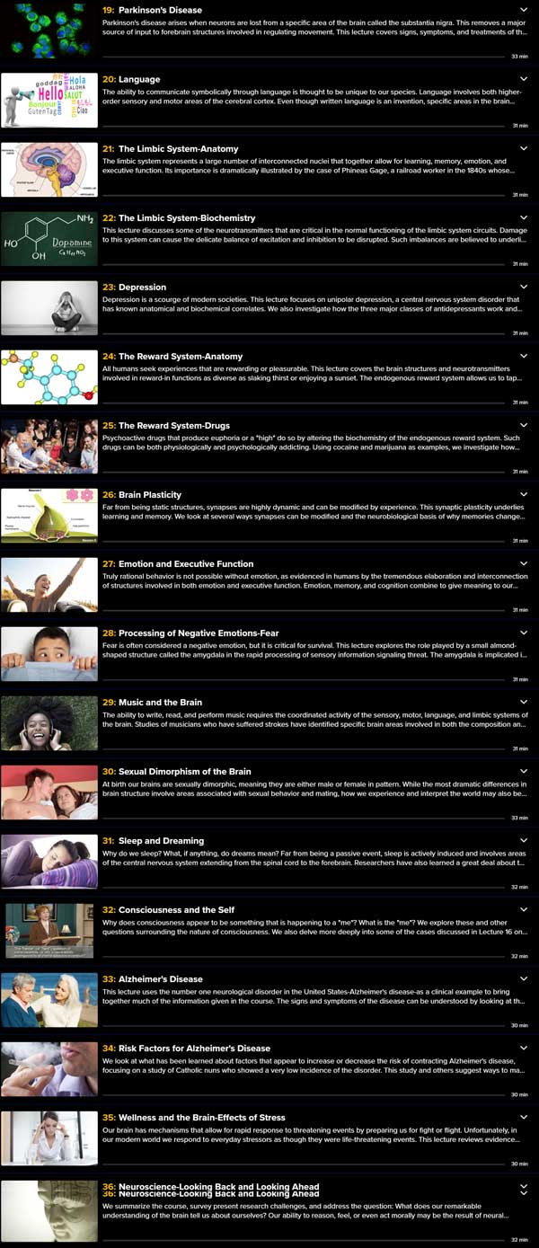 Understanding the Brain Content