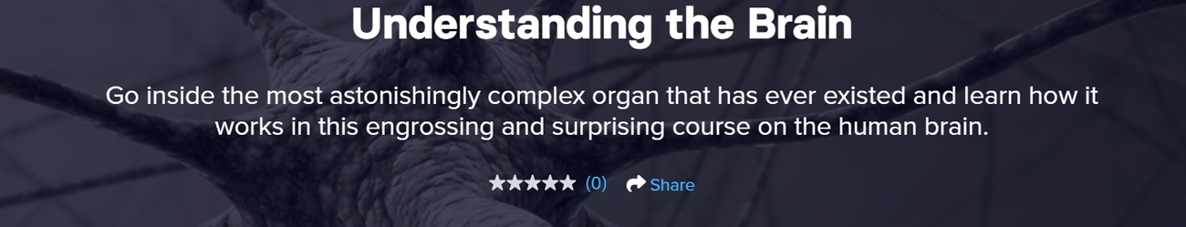Understanding the Brain