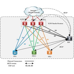 Self Paced BGP Training