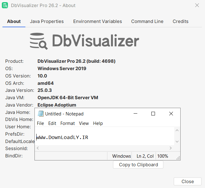 DBVisualizer Pro
