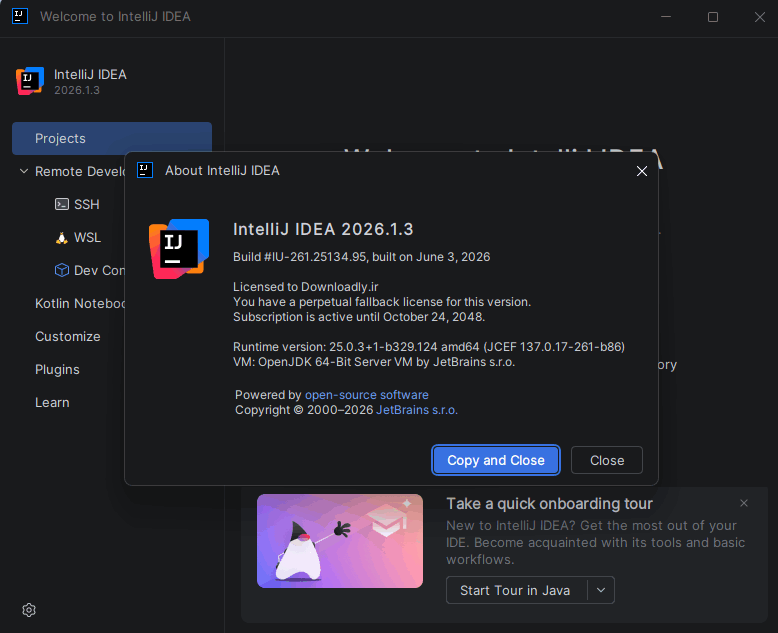 IntelliJ IDEA