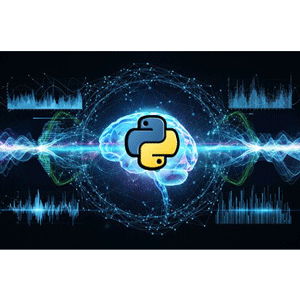 AI Programming in Python - Beginner to Expert