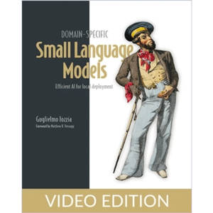 Domain-Specific Small Language Models, Video Edition