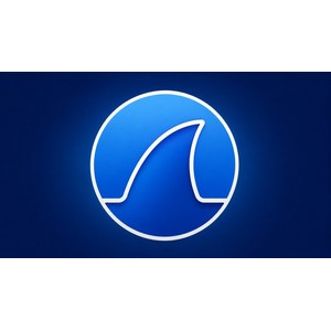 Threat Hunting with Wireshark: Network Analysis & Security