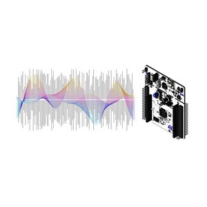 Advanced Digital Signal Processing on ARM Processors