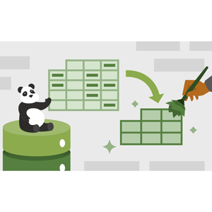 Data Cleaning with pandas