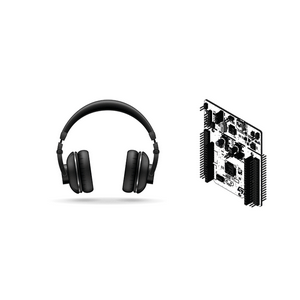 Embedded Audio Solutions: Developing an Audio Media Player