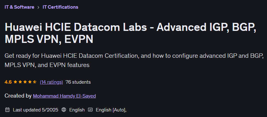 Huawei HCIE Datacom Labs - Advanced IGP BGP MPLS VPN EVPN