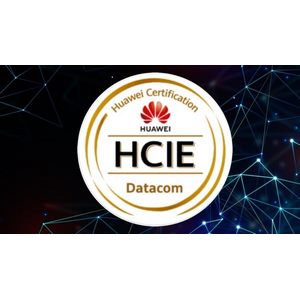 Huawei HCIE Datacom Labs - Advanced IGP BGP MPLS VPN EVPN