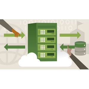 Learning REST APIs