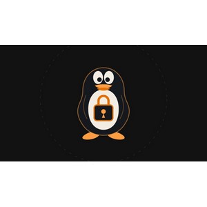 Linux Security Hardening & Auditing: Practical Course