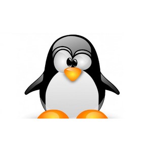 Linux Server Administration Simplified: Practical Training