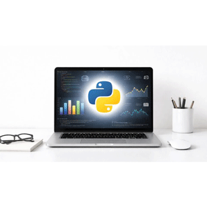 Python Bootcamp From Zero to Hero.