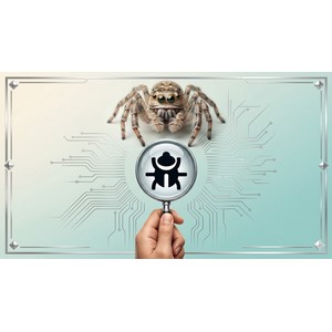Reverse Engineering & Malware Analysis