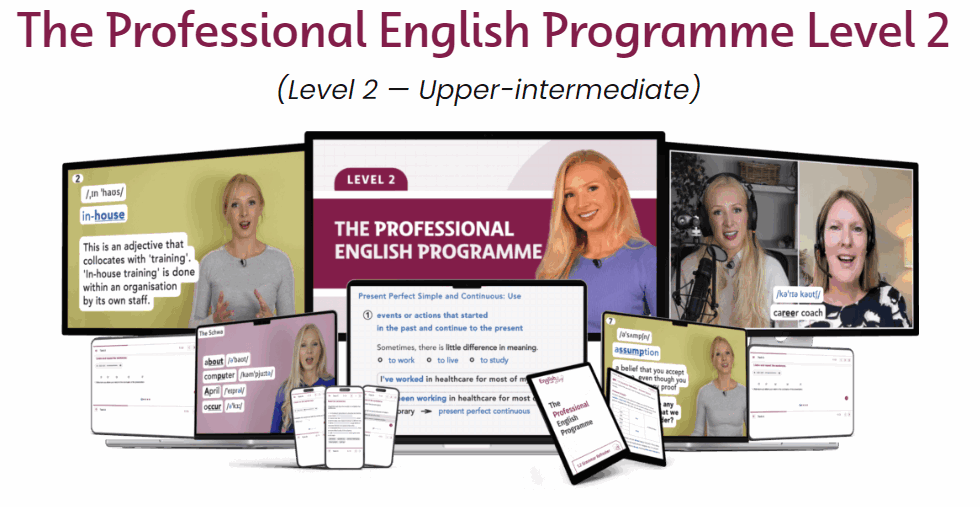 The Professional English Programme Level 2
