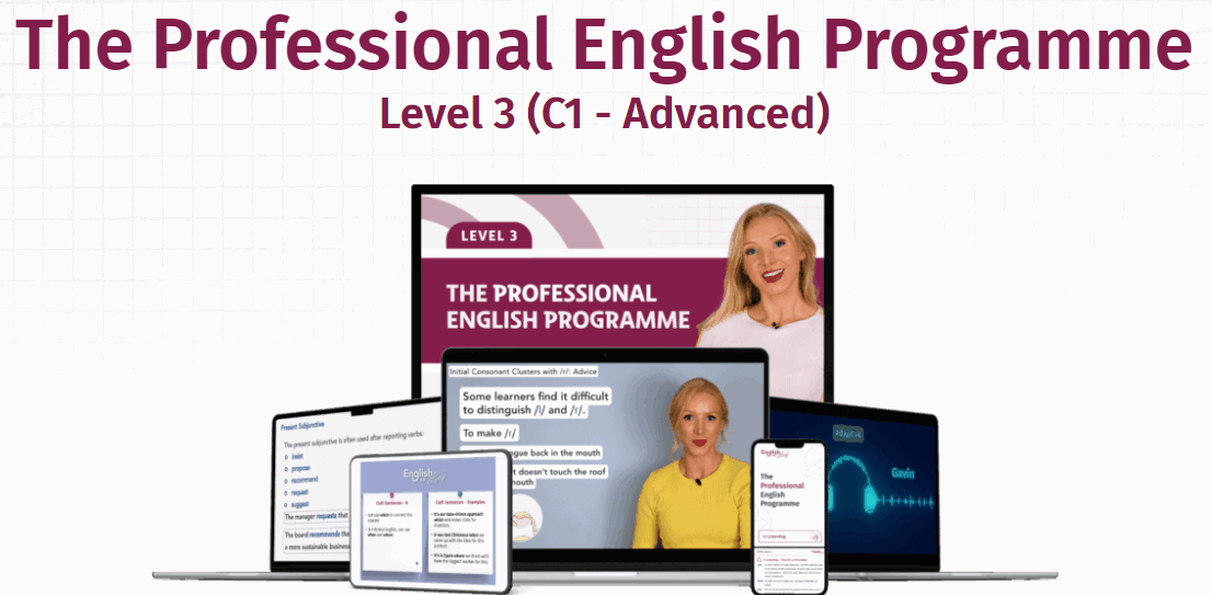 The Professional English Programme Level 3