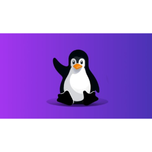 Bash Shell Scripting Bootcamp: Linux Automation +50 Projects