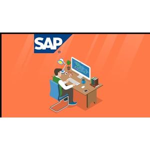 Learn SAP ABAP by Doing
